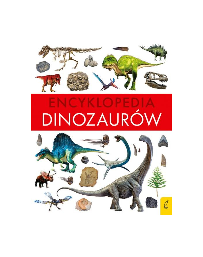 foksal Książeczka Encyklopedia dinozaurów główny