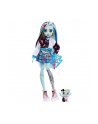Monster High Lalka Frankie Stein HHK53 MATTEL - nr 9