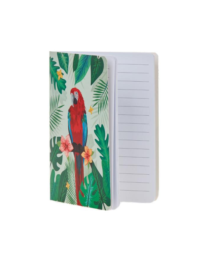 beppe Notes papuga Ara czerwona p6 13949  cena za 1 sztukę główny