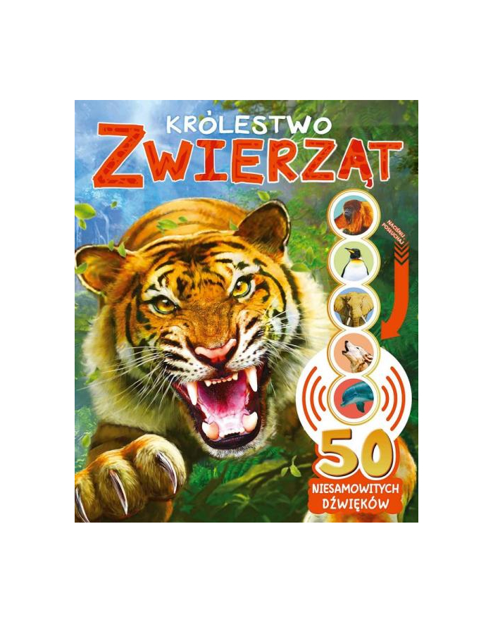 zielona sowa Książeczka 50 niesamowitych dźwięków. Królestwo zwierząt główny