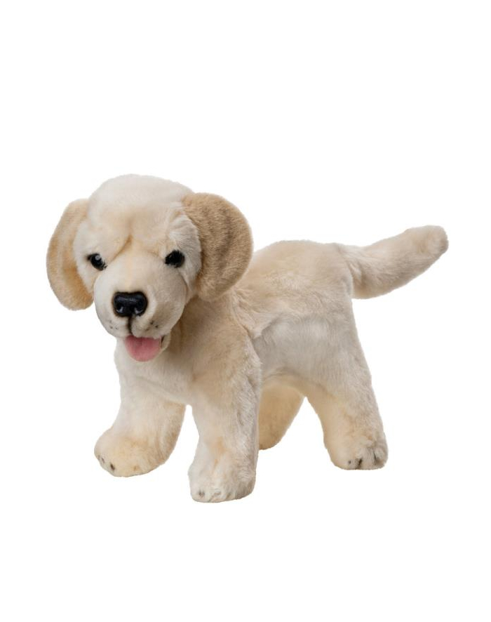 beppe Maskotka Labrador szczeniaczek stojący 25cm 14082 główny