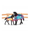 Schleich 42611 Zagroda dla koni z klaczą oraz źrebakiem Horse Club - nr 15