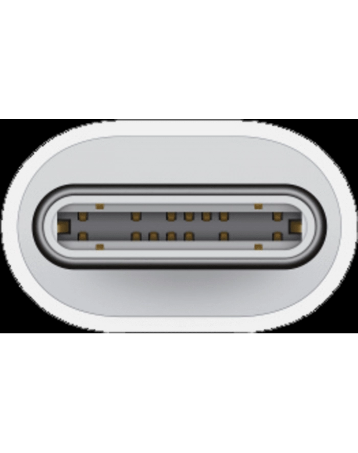 apple Przejściówka z USB-C na Lightning główny