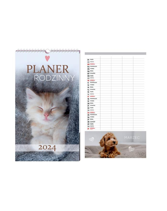 interdruk Kalendarz 2024 planszowy rodzinny Zwierzaki główny