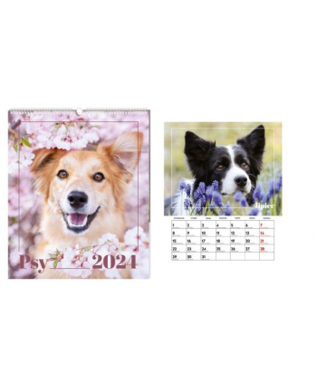 interdruk Kalendarz 2024 ścienny planszowy Psy