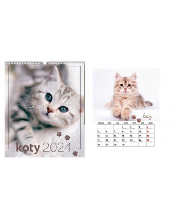 interdruk Kalendarz 2024 ścienny planszowy Koty