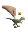 Jurassic World Nagły atak Dinozaur Atrociraptor ruchoma figurka HLN69 HLN63 MATTEL - nr 4