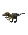 Jurassic World Groźny ryk Dinozaur Orkoraptor HLP21 HLP14 MATTEL - nr 5