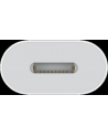 apple Przejściówka z USB-C na Lightning - nr 19