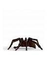 Schleich 13987 Aragog - nr 10