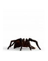 Schleich 13987 Aragog - nr 12