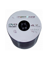 DVD-Rx16 4,7GB SZPINDEL 100 - nr 1