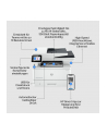 HP LaserJet Pro MFP 4102dw, multifunction printer (grey, USB, LAN, WLAN, scan, copy) - nr 56