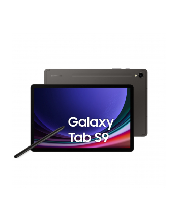 Samsung Galaxy Tab S9 110 (X710) 12/256GB Graphite