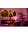 Inteligentne lampki Twinkly Dots 60 RGB USB 3 m - nr 5