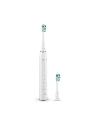 Szczoteczka Soniczna TrueLife SonicBrush Clean30