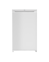 Chłodziarka BEKO TS190340N - nr 1