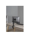 GEMBIRD Biurkowe ramię dla monitora regulowane 17-32inch do 9kg - nr 10