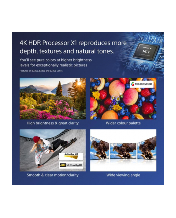 Sony Bravia Professional Displays FW-55BZ40L
