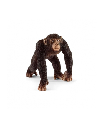 Schleich 17058 Szympans samiec