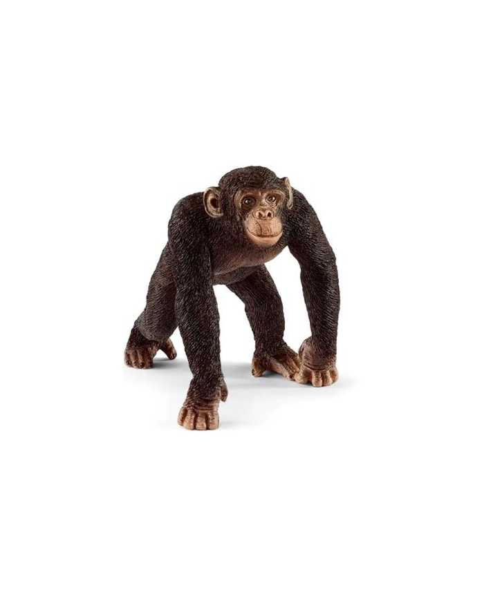 Schleich 17058 Szympans samiec główny