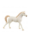 Schleich 72153 Koń arabski biały - nr 1