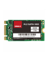Umax 1TB M.2 2242 SATA III 3D NAND (TLC) (UMM250009) (UMAXUMM250009) - nr 2