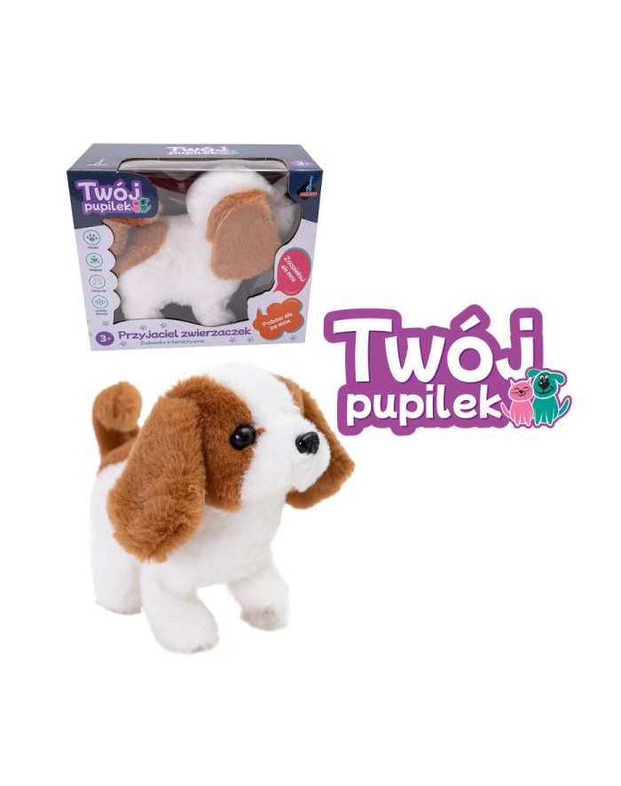 askato Piesek na baterie główny