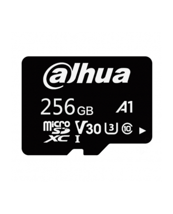 Karta pamięci Dahua L100 microSD 256GB
