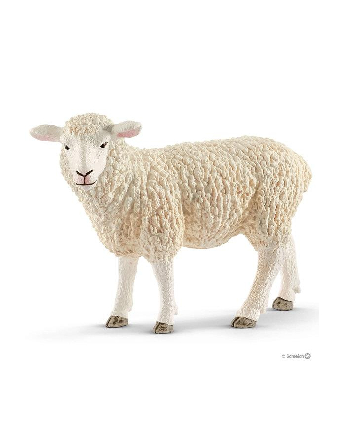 Schleich 17075 Owca główny
