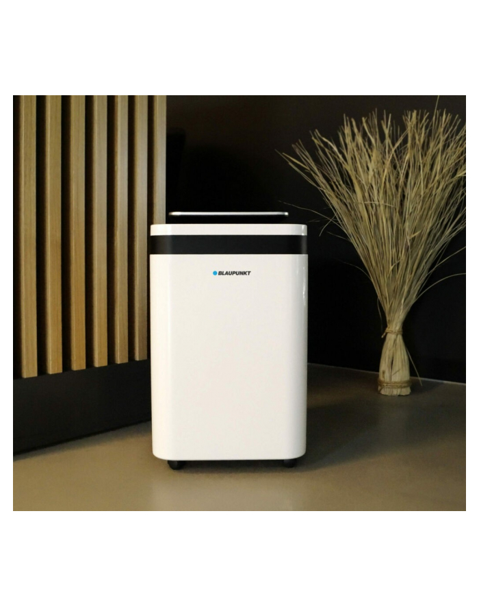 blaupunkt Osuszacz z funkcją oczyszczania powietrza ADH501 główny