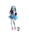 mattel Monster High Lalka Frankie Stein HHK53 - nr 6