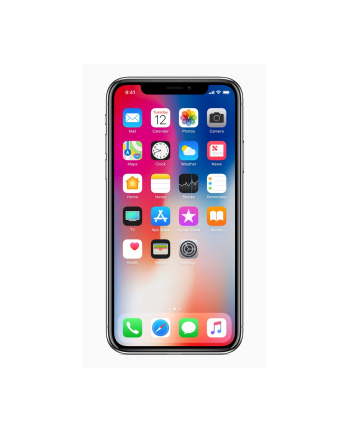 Apple iPhone X 64GB Space Gray REMAD-E 2Y