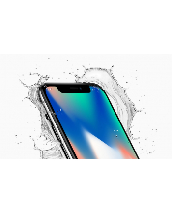 Apple iPhone X 64GB Space Gray REMAD-E 2Y