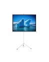 ART HAND-HELD SCREEN ON A TRIPOD 96inch 146x195cm TA-96 4:3 - nr 1