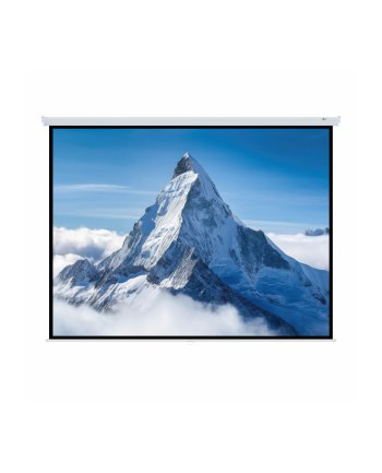 ART HAND SCREEN 96inch 244x244cm MA-96 1:1