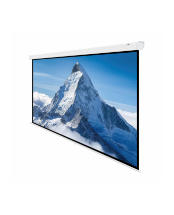 ART HAND SCREEN 96inch 244x244cm MA-96 1:1