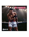 Gra PlayStation 5 EA SPORTS UFC 5 - nr 6