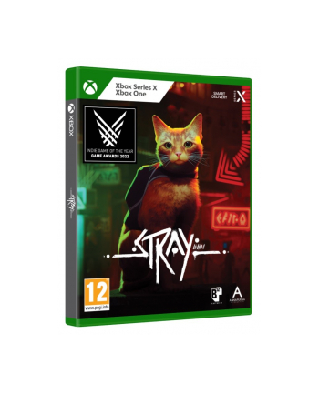 plaion Gra Xbox One/Xbox Series X Stray