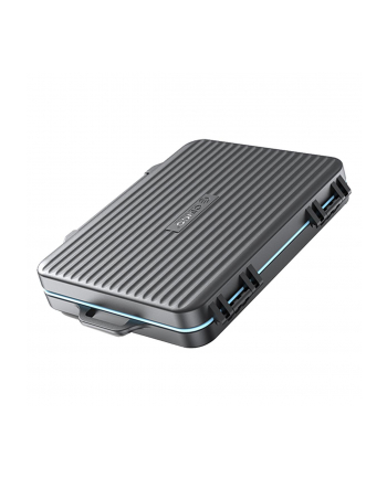 Etui Orico PHCD-4-BK-BP 8 kart SD, 4 karty Compact Flash