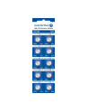 Baterie alkaliczne mini everActive AG13 G13 LR1154 LR44 10 sztuk - nr 1