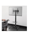Stojak mobilny Techly 32''-55'', 35kg, z półką - nr 12