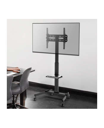 Stojak mobilny Techly 32''-55'', 35kg, z półką