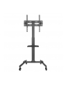 Stojak mobilny Techly 32''-55'', 35kg, z półką - nr 13