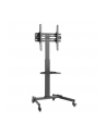 Stojak mobilny Techly 32''-55'', 35kg, z półką - nr 2