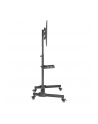 Stojak mobilny Techly 32''-55'', 35kg, z półką - nr 3