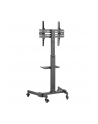Stojak mobilny Techly 32''-55'', 35kg, z półką - nr 4