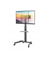 Stojak mobilny Techly 32''-55'', 35kg, z półką - nr 7