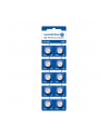 Bateria alkaliczna mini everActive AG12 G12 LR1142 LR43 - blister 10 sztuk - nr 1