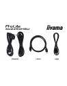 iiyama Monitor  23.8 cala XU2494HSU-B6 VA,FHD,HDMI,DP,100Hz,USBx2,SLIM - nr 14